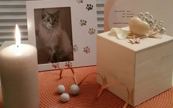 Abschied copyright Katzeninfo dot com