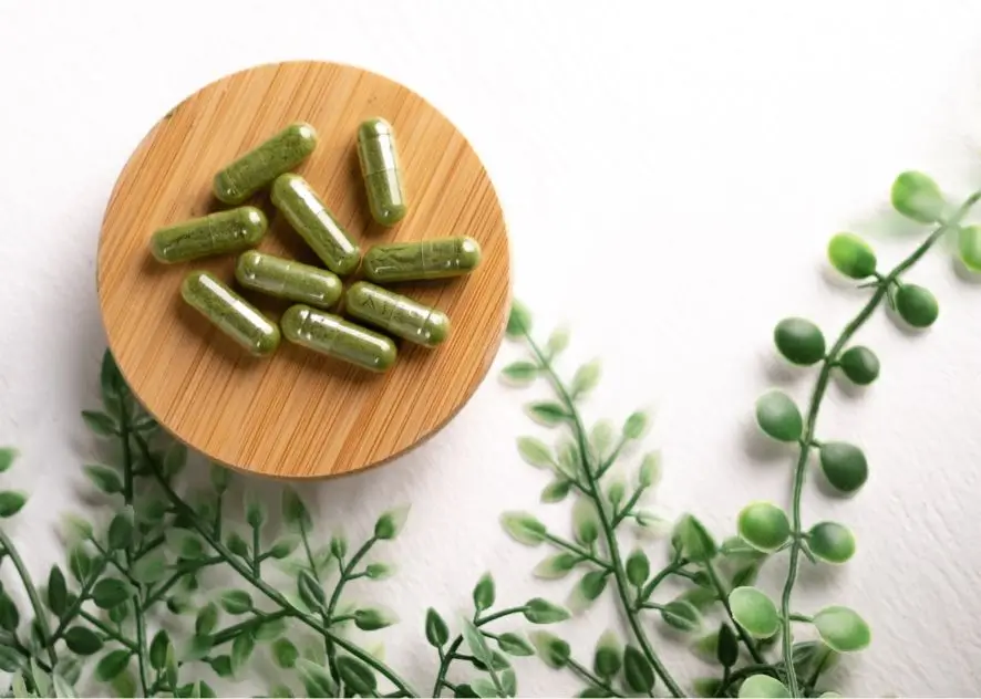 Supplemente für Katzen