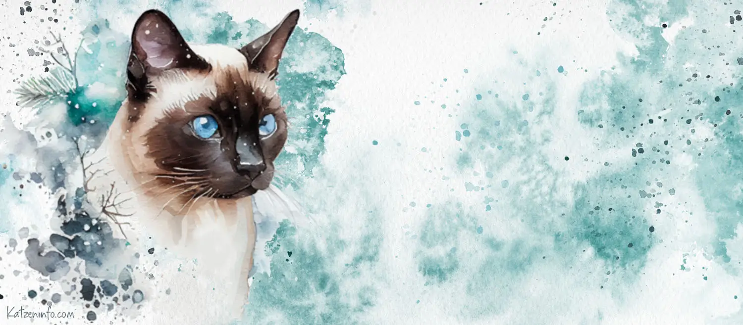 Banner Katzeninfo.com (copyright)